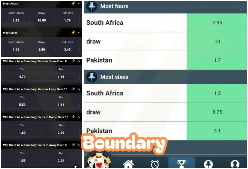 Cricket Betting Types Boundary