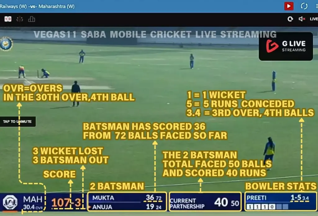 Cricket Scoreboard  on Mobile