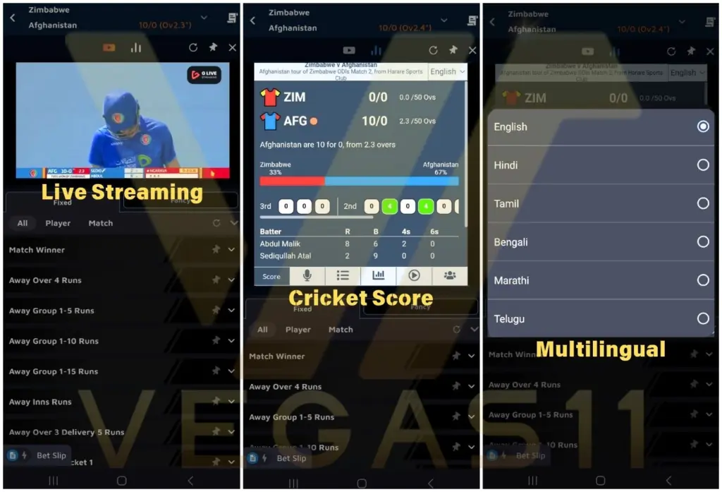 Cricket Scoring on Vegas11