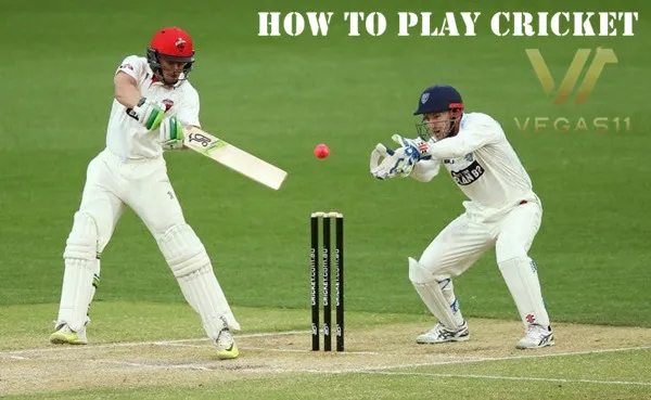 How to Play Cricket