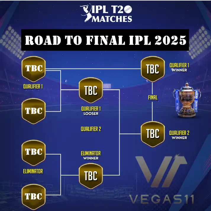 IPL playoffs