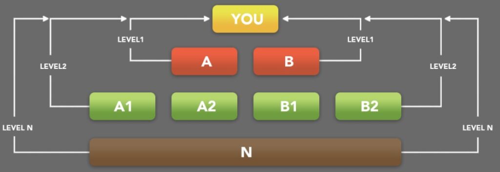 This is the schematic diagram how this Affiliate scheme works here N is up to 6 levels.