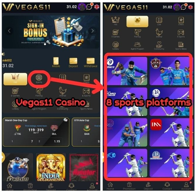 vegas11 Cricket bets