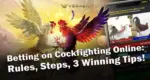 Betting on Cockfighting Online Rules, Steps, 3 Winning Tips!