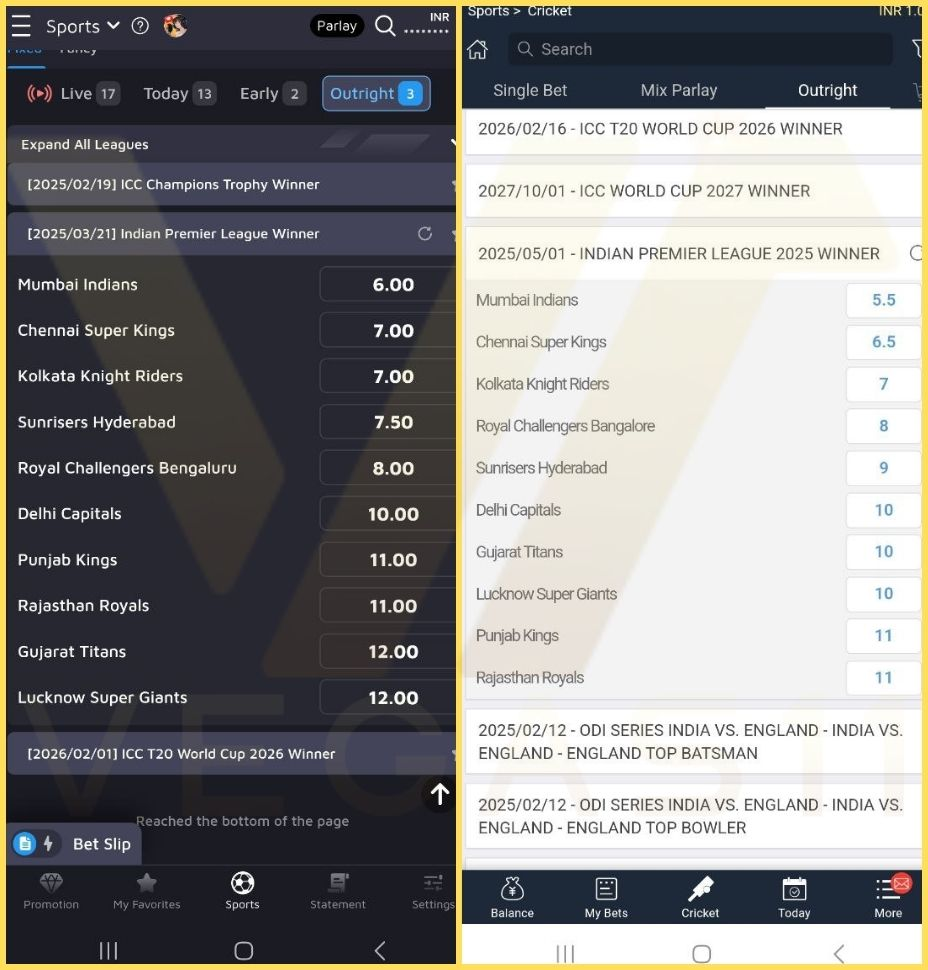 IPL Outright Winner Odds