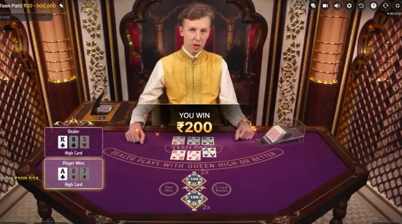 Dealer Reveals Cards