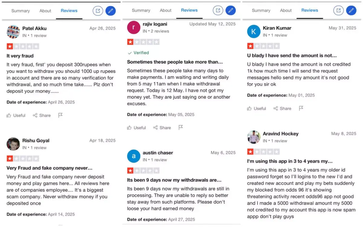 Odds96 Review
