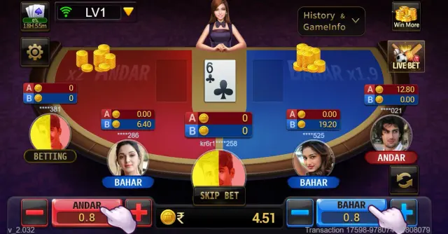 V11-Andar-Bahar