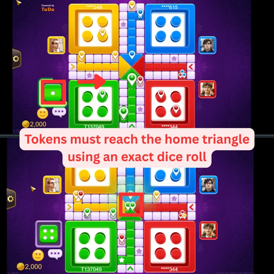 Ludo Winning Conditions