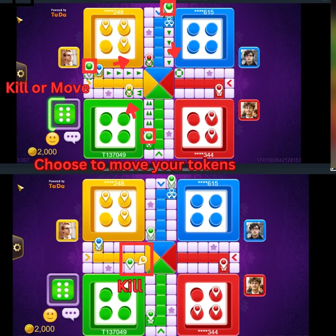 Ludo Capturing Opponents