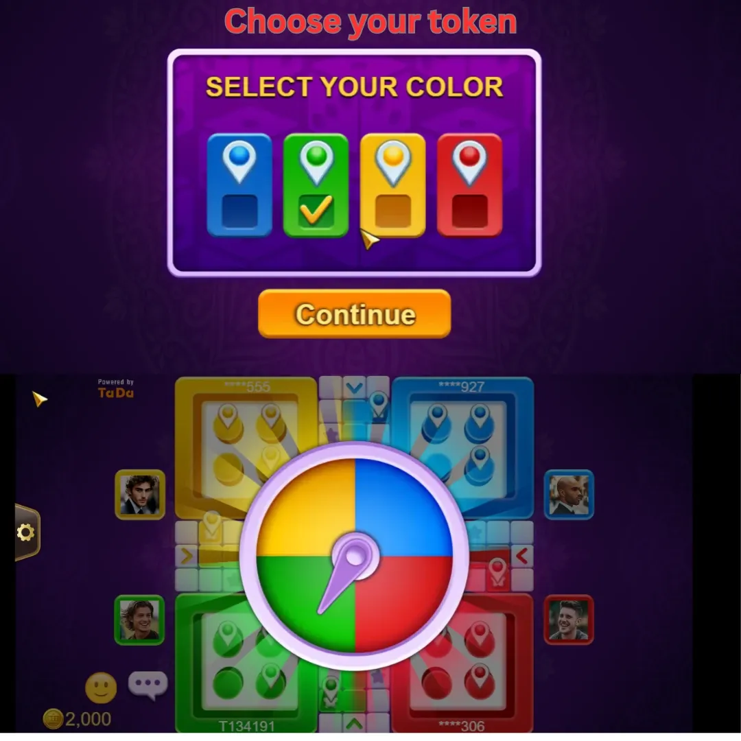 Ludo Board Setups