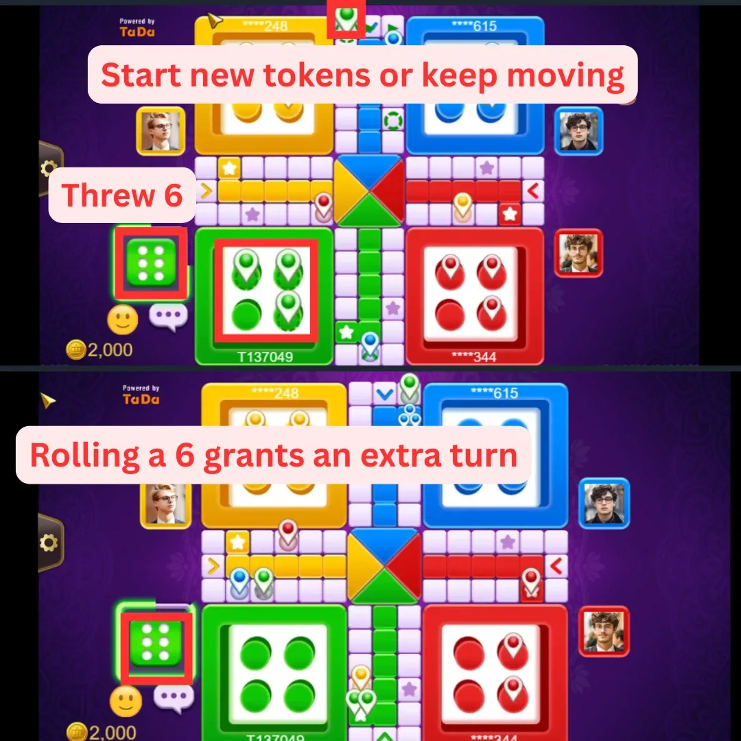 Ludo Roll 6 rules