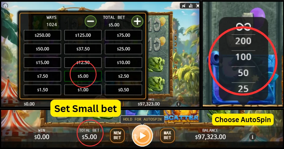 Spin Setting Spin Setting