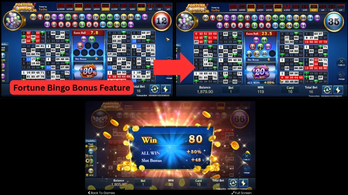 Fortune Bingo Showcase 2