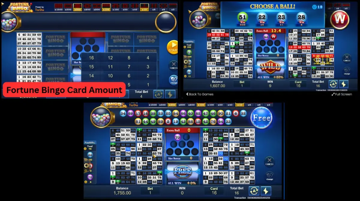 Fortune Bingo Showcase 1