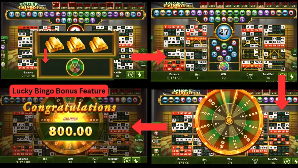 Lucky bingo showcase 2