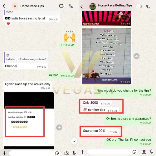 horse race betting whatsapp group scams