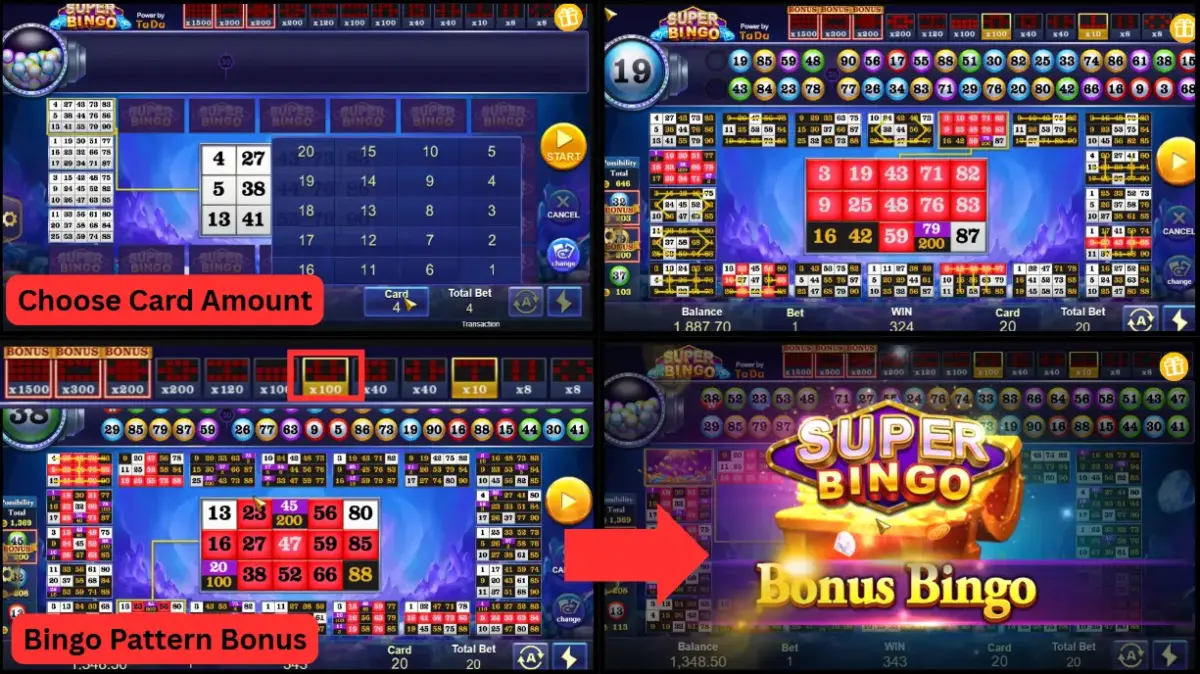 Super Bingo showcase 1