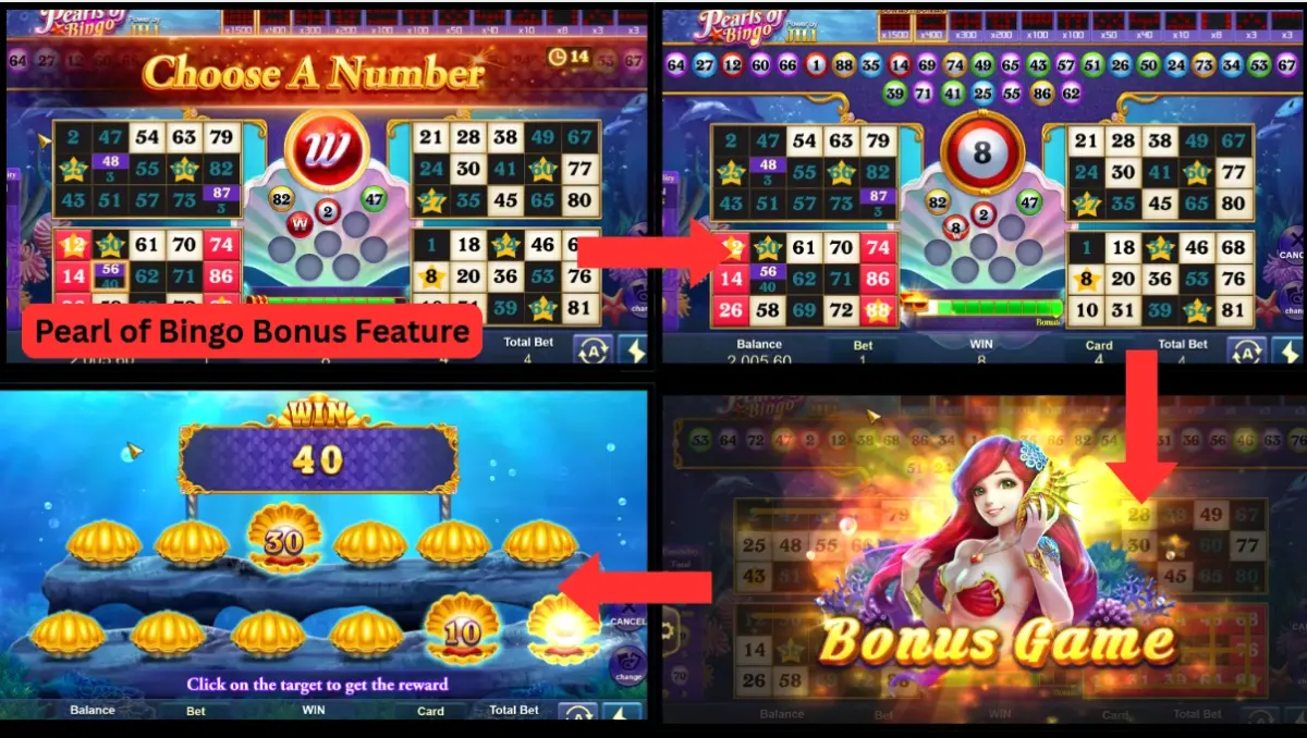 pearal of bingo showcase 