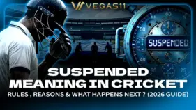suspended meaning in cricket cover