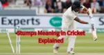 Stumps Meaning in Cricket Explained