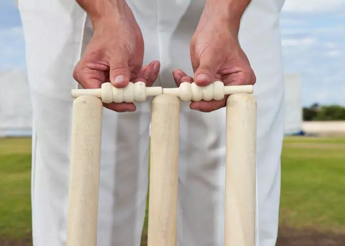 Stumps Meaning in Cricket